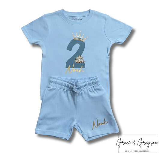 Personalised Baby Blue Birthday Dinosaur Shorts & T-Shirt Set
