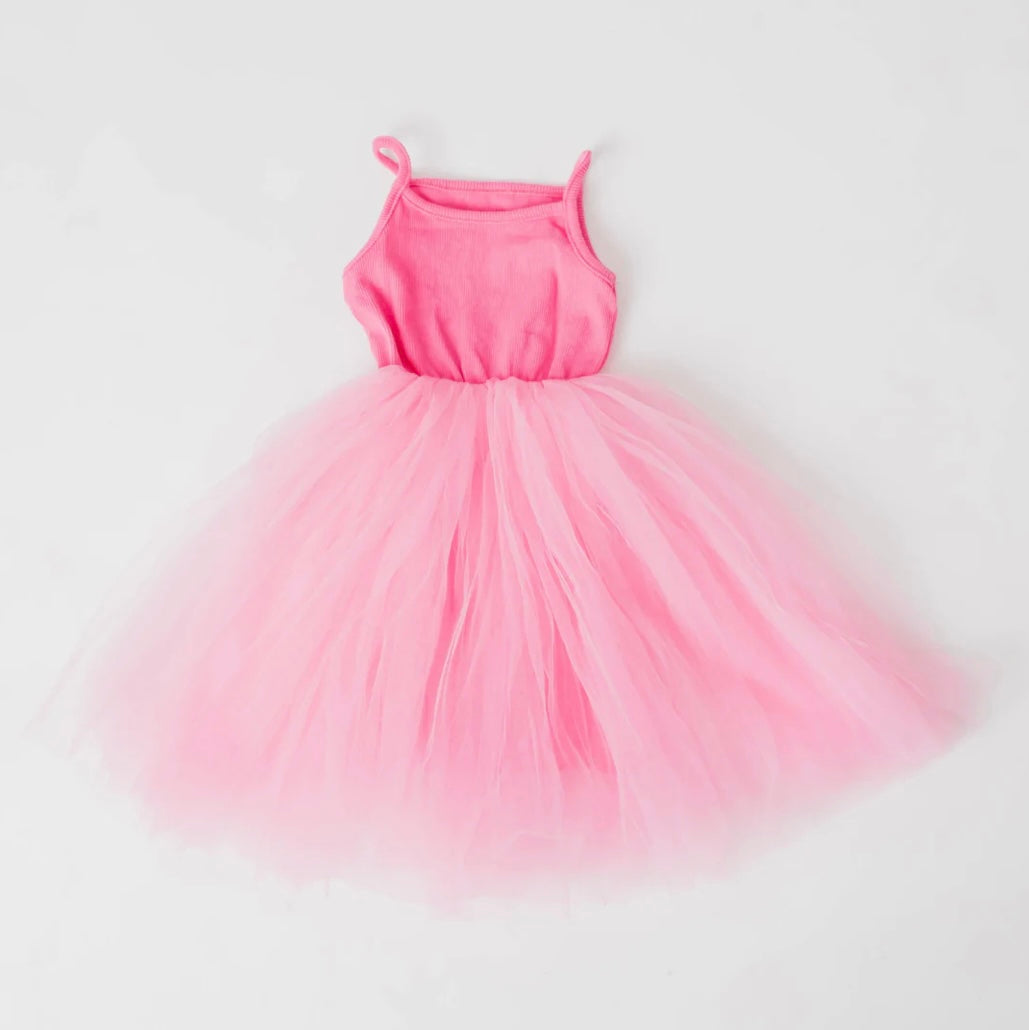 Princess Tutu Dress
